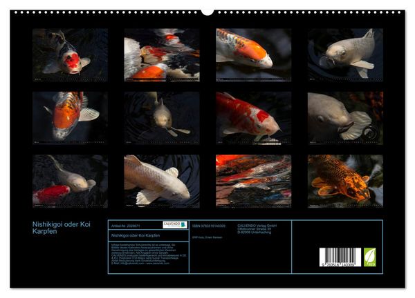 Produktbild: Nishikigoi oder Koi Karpfen (hochwertiger Premium Wandkalender 2026 DIN A2 quer), Kunstdruck in Hochglanz