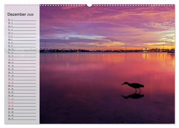 Produktbild: FLORIDA Idyllischer Sonnenscheinstaat (Wandkalender 2026 DIN A2 quer), CALVENDO Monatskalender