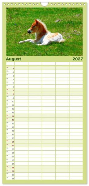 Produktbild: Familienplaner 2027 - Ponys. Herzensbrecher mit Grips mit 5 Spalten (Wandkalender, 21 x 45 cm) CALVENDO