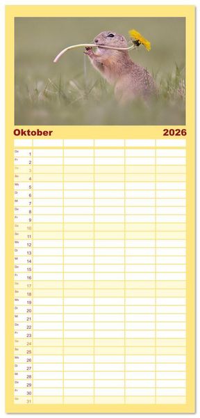 Produktbild: Familienplaner 2026 - Zauberhafte Ziesel mit 5 Spalten (Wandkalender, 21 x 45 cm) CALVENDO