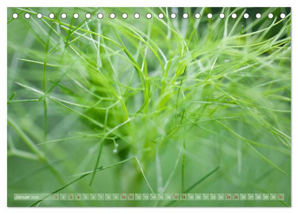 Produktbild: GR&Uuml;N Harmonie Wachstum Zufriedenheit (Tischkalender 2026 DIN A5 quer), CALVENDO Monatskalender