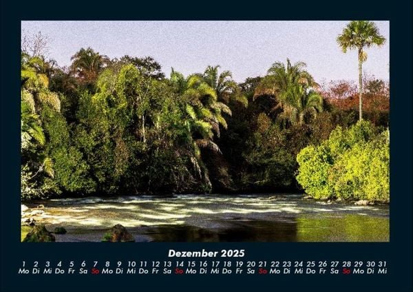 Produktbild: Blick in die Natur 2025 Fotokalender DIN A4