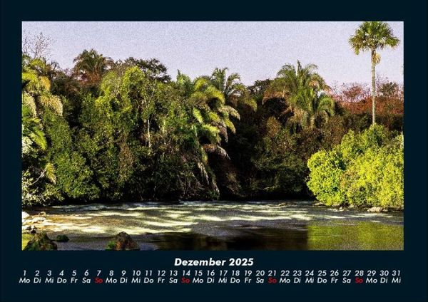 Produktbild: Blick in die Natur 2025 Fotokalender DIN A4