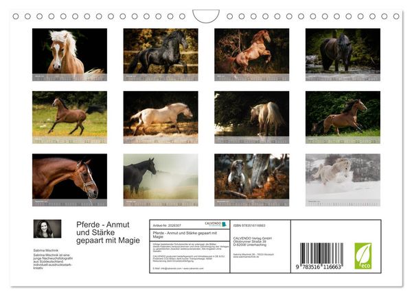 Produktbild: Pferde - Anmut und St&auml;rke gepaart mit Magie (Wandkalender 2026 DIN A4 quer), CALVENDO Monatskalender