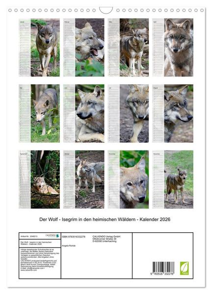 Produktbild: Der Wolf - Isegrim in den heimischen W&auml;ldern - Kalender 2026 (Wandkalender 2026 DIN A3 hoch), CALVENDO Monatskalender