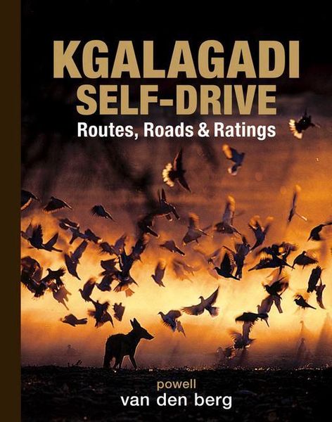 Produktbild: Kgalagadi Self-Drive