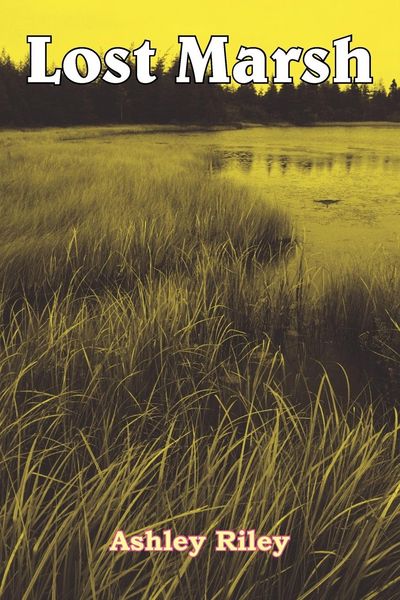 Produktbild: Lost Marsh