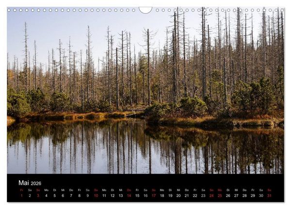 Produktbild: Zauberhafter Bayerischer Wald (Wandkalender 2026 DIN A3 quer), CALVENDO Monatskalender