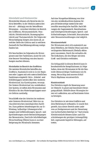 Produktbild: Schlaganfall - Der Leitfaden f&uuml;r Angeh&ouml;rige