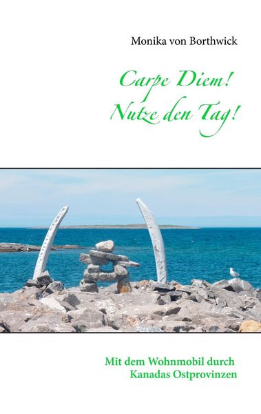 Produktbild: Carpe Diem! Nutze den Tag!