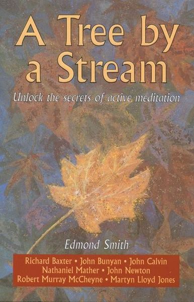 Produktbild: A Tree by a Stream