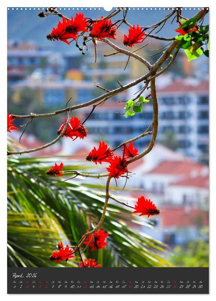 Produktbild: TENERIFFA (Wandkalender 2026 DIN A2 hoch), CALVENDO Monatskalender