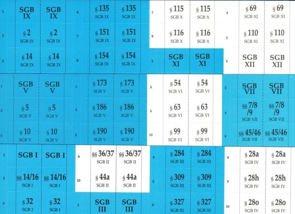 Produktbild: D&uuml;rckheimRegister f&uuml;r SOZIALGESETZBUCH (Aichberger/Haarfeld)