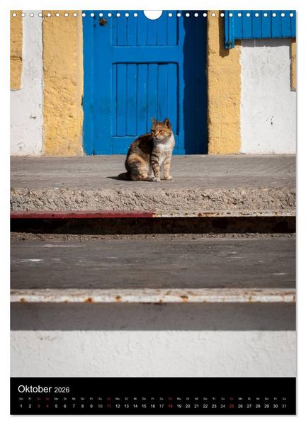 Produktbild: Katzen in Marokko (Wandkalender 2026 DIN A3 hoch), CALVENDO Monatskalender