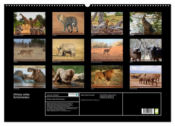 Produktbild: Afrikas wilde Sch&ouml;nheiten (Wandkalender 2026 DIN A2 quer), CALVENDO Monatskalender