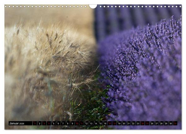 Produktbild: Provence im Rausch der Farben (Wandkalender 2026 DIN A3 quer), CALVENDO Monatskalender