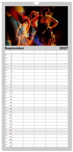 Produktbild: Familienplaner 2027 - Flamenco - Tanz der Leidenschaft mit 5 Spalten (Wandkalender, 21 x 45 cm) CALVENDO