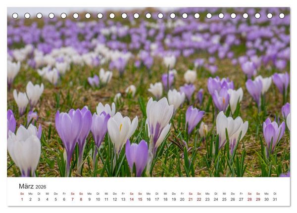 Produktbild: Naturwunder Berge (Tischkalender 2026 DIN A5 quer), CALVENDO Monatskalender