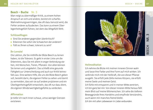 Produktbild: Heilen mit Bachbl&uuml;ten. Kompakt-Ratgeber