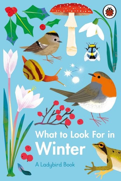 Produktbild: What to Look For in Winter