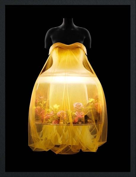 Produktbild: Sleeping Beauties