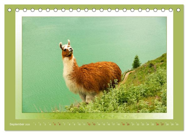 Produktbild: Das vergessene Tal. Schnalstal - Val Senales (Tischkalender 2026 DIN A5 quer), CALVENDO Monatskalender