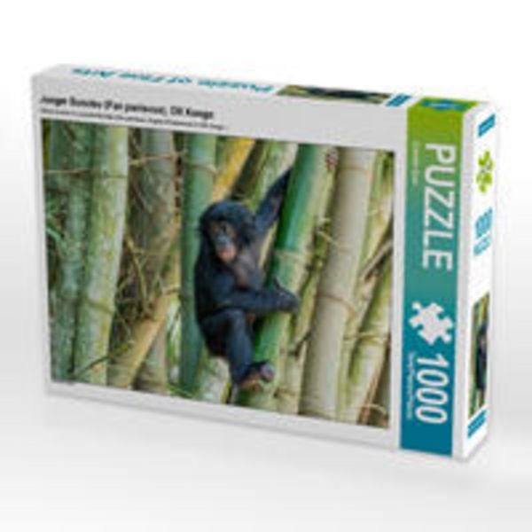 CALVENDO Puzzle Junger Bonobo (Pan paniscus), DR Kongo | 1000 Teile Lege-Größe 64x48cm Foto-Puzzle für glückliche Stunden