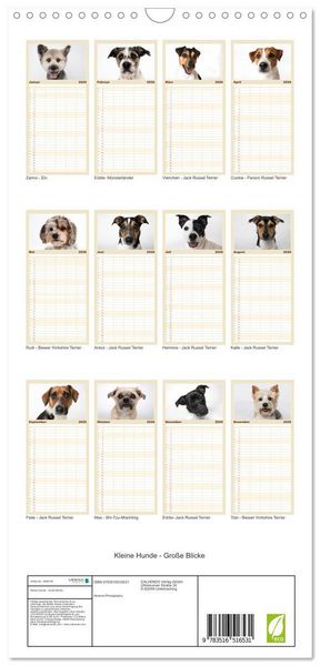 Produktbild: Familienplaner 2026 - Kleine Hunde - Gro&szlig;e Blicke mit 5 Spalten (Wandkalender, 21 x 45 cm) CALVENDO