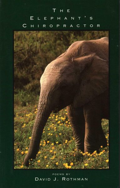 Produktbild: The Elephant's Chiropractor