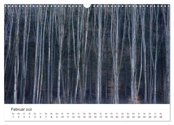 Produktbild: B&auml;ume - Gelebtes Leben (Wandkalender 2026 DIN A3 quer), CALVENDO Monatskalender