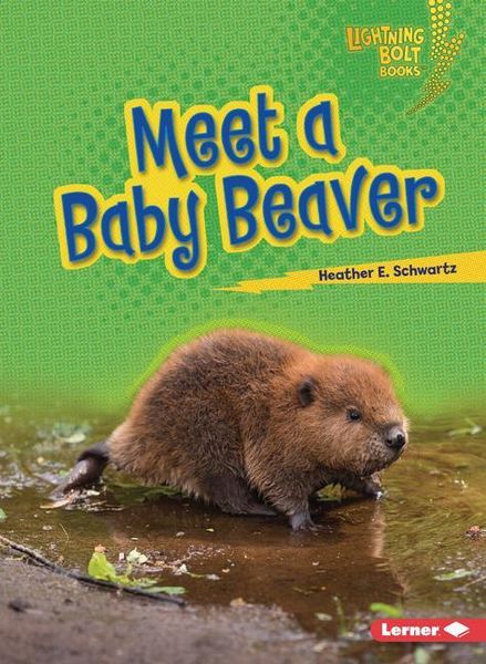 Produktbild: Meet a Baby Beaver