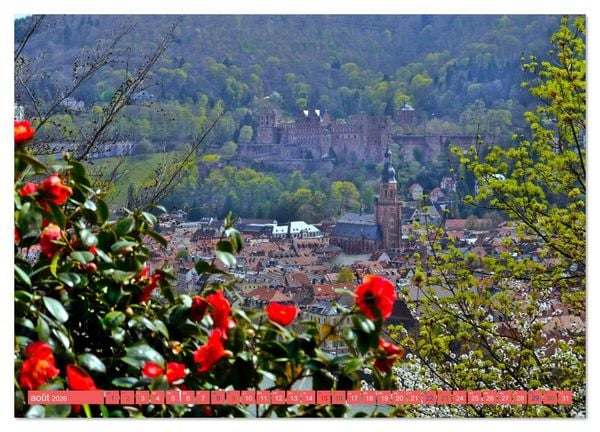 Produktbild: Magnifique Heidelberg (Calendrier mural 2026 DIN A2 vertical) calendrier de bureau