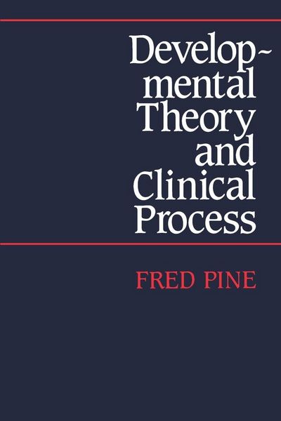 Produktbild: Developmental Theory and Clinical Process
