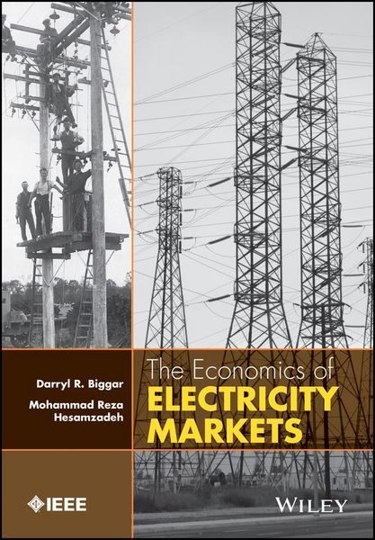 Produktbild: The Economics of Electricity Markets