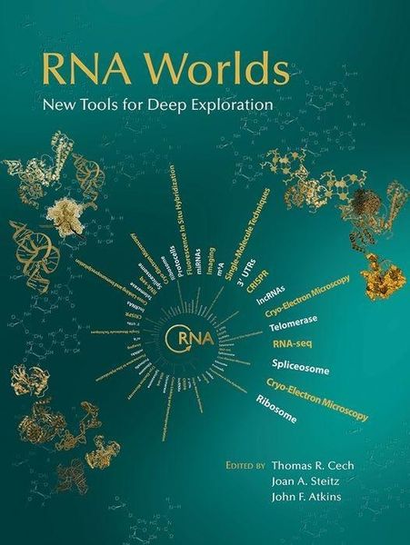 Produktbild: RNA Worlds: New Tools for Deep Exploration