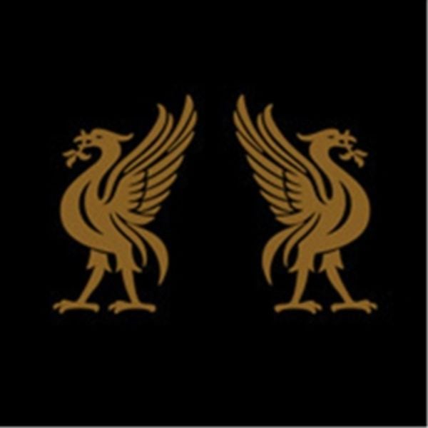 Liverbirds - Joey Cape, CD