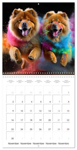 Produktbild: Dynamic Duo - Two Paws, One Leap (Wall Calendar 2026 12 &times; 12 Inch) CALVENDO 12 Month Wall Calendar