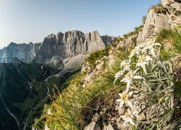Produktbild: Karwendel