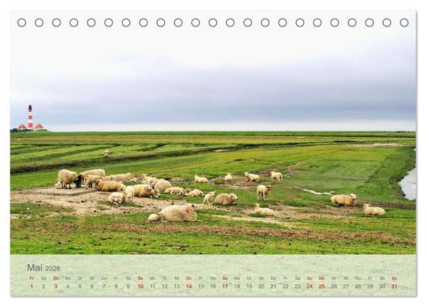 Produktbild: Salzwiesen, Schafe und Watt - Westerhever, ein Naturparadies an der Nordsee (Tischkalender 2026 DIN A5 quer), CALVENDO Monatskalender