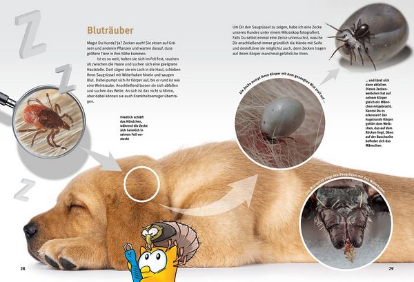 Produktbild: Entdecke die Welt im Kleinen
