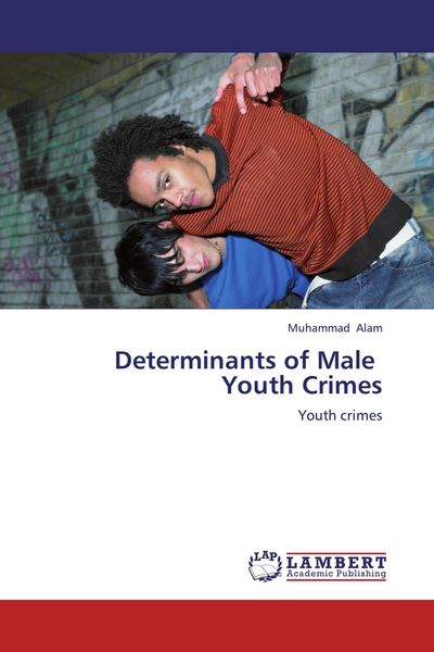 Produktbild: Determinants of Male Youth Crimes