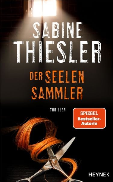 Produktbild: Der Seelensammler