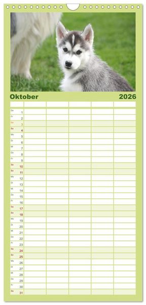 Produktbild: Familienplaner 2026 - Siberian Husky - der Urtyp mit 5 Spalten (Wandkalender, 21 x 45 cm) CALVENDO