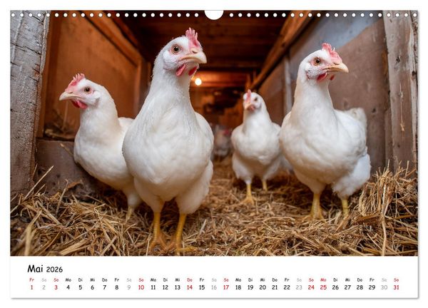 Produktbild: Hans der Bauer und seine Tiere auf dem Bauernhof (Wandkalender 2026 DIN A3 quer), CALVENDO Monatskalender