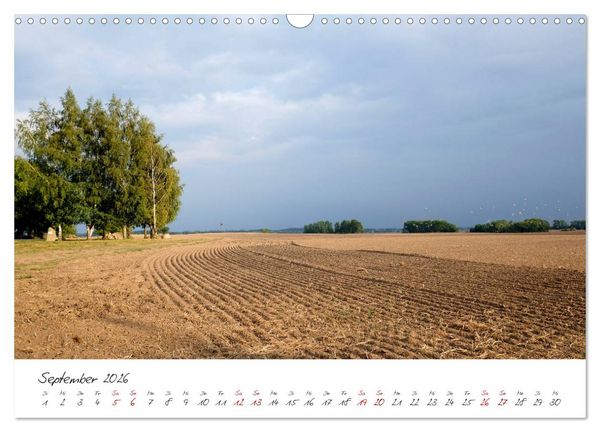 Produktbild: Osteeinsel Poel (Wandkalender 2026 DIN A3 quer), CALVENDO Monatskalender