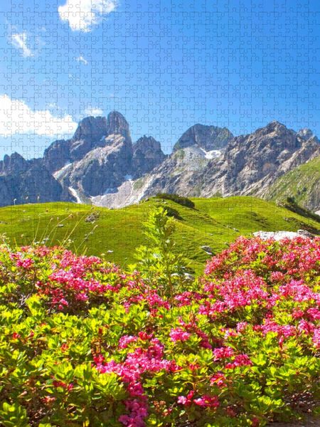 Produktbild: CALVENDO Puzzle Ein Motiv aus dem Kalender Bischofsm&uuml;tze | 1000 Teile Lege-Gr&ouml;&szlig;e 64x48cm Foto-Puzzle f&uuml;r gl&uuml;ckliche Stunden