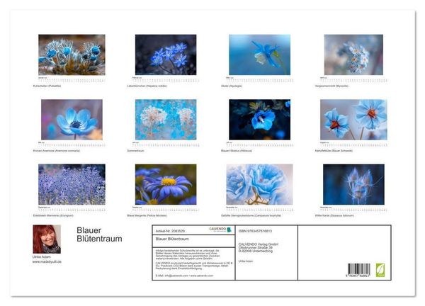 Produktbild: Blauer Bl&uuml;tentraum (Wandkalender 2026 DIN A2 quer), CALVENDO Monatskalender