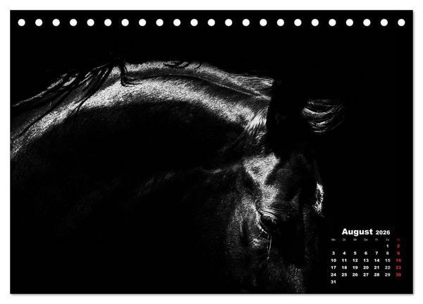 Produktbild: Pferde zwischen Licht und Schatten (Tischkalender 2026 DIN A5 quer), CALVENDO Monatskalender