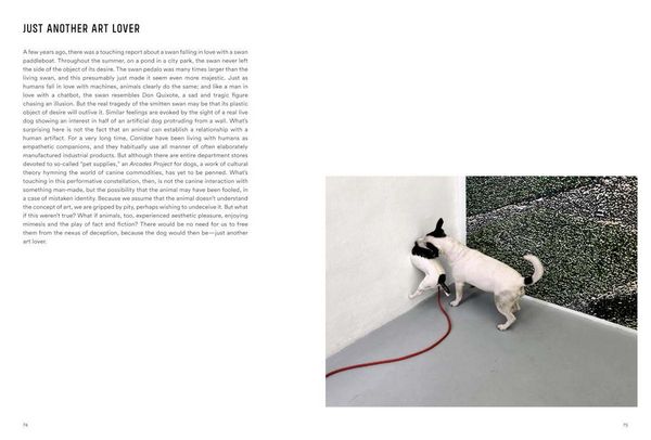 Produktbild: Rolf Walz. Blind Spot Bias