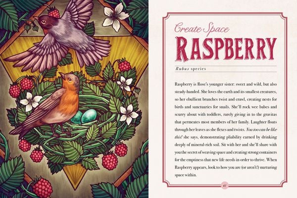 Produktbild: Illustrated Herbiary